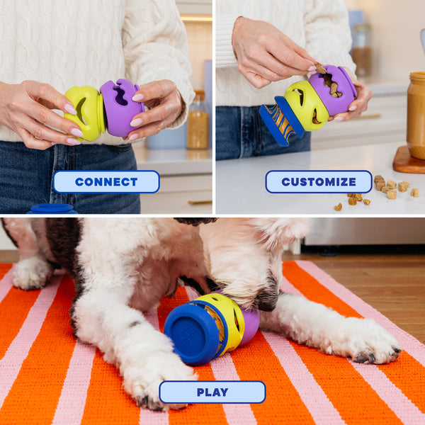How to assemble and customize a PlayStack interactive dog toy