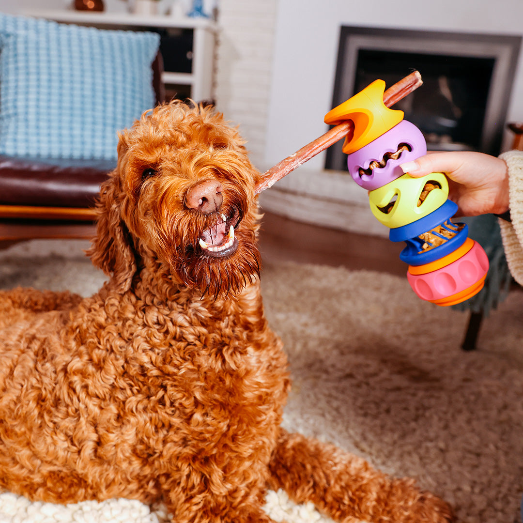 Dog using a PlayStack puzzle toy for treats