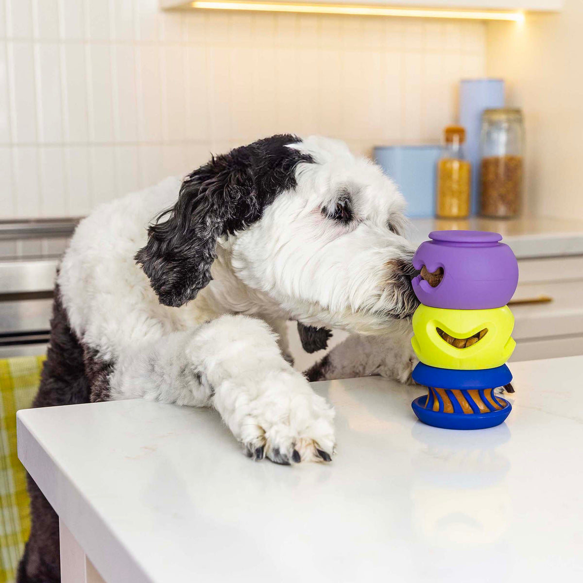 PlayStack Interactive Dog Toy | Modular Dog Enrichment Toys | Waglab ...