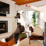 Dog jumping to catch The Squiggle interactive dog toy during play