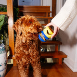 Dog licking spread from The Starter Stack while a person holds it