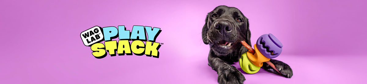 PlayStack Interactive Dog Toy | Modular Dog Enrichment Toys | Waglab ...