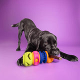 Dog playing playing with a WagLab interactive dog enrichment toy